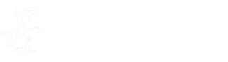 星空体育